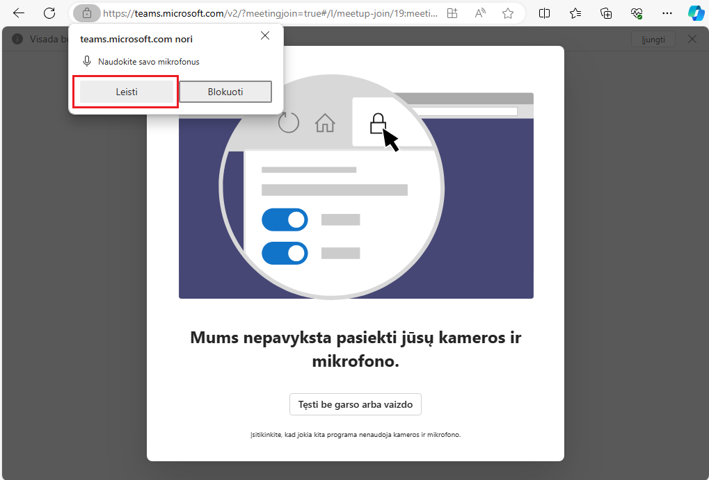 Prieigos prie mikrofono patvirtinimas